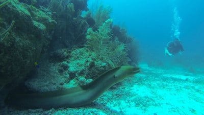 . Activities in Paros